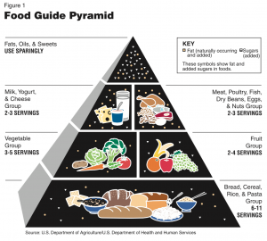 Food_Diagram_1992